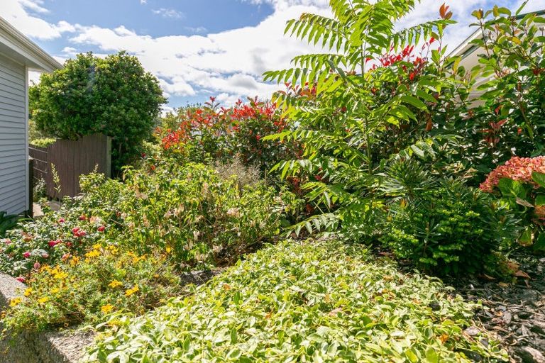 Photo of property in 34 Spencer Street, Crofton Downs, Wellington, 6035