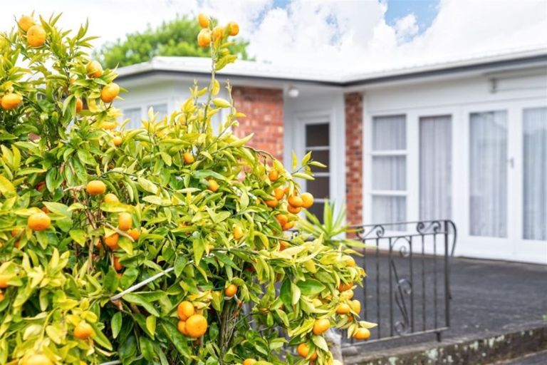 Photo of property in 9 Pomaria Road, Henderson, Auckland, 0610