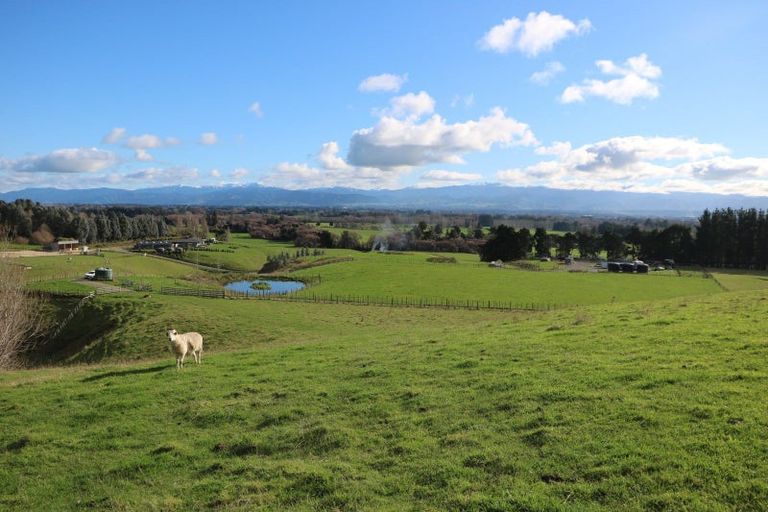 Photo of property in 17 Hill Street, Te Kuiti, 3910