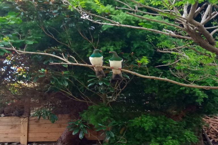 Photo of property in 18 Main Road, Waikanae, 5036