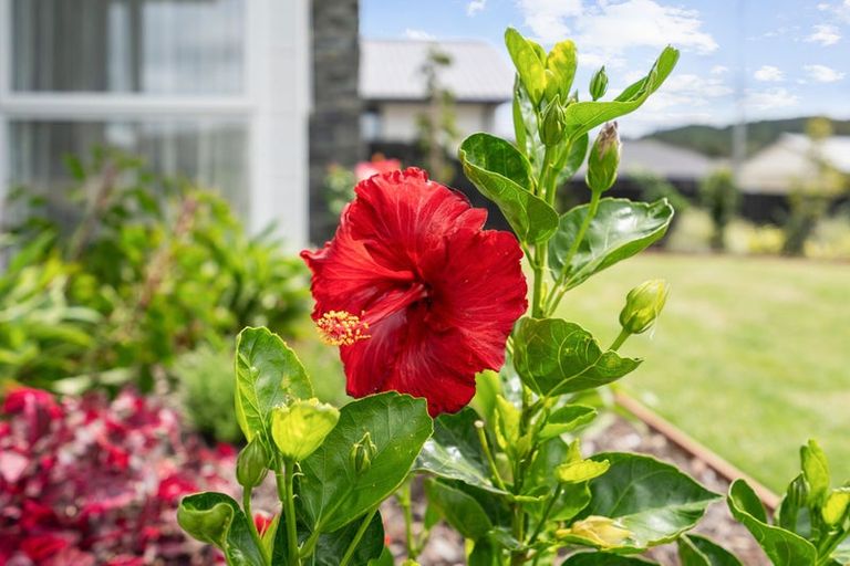 Photo of property in 47 Lake Drive, Tikipunga, Whangarei, 0112