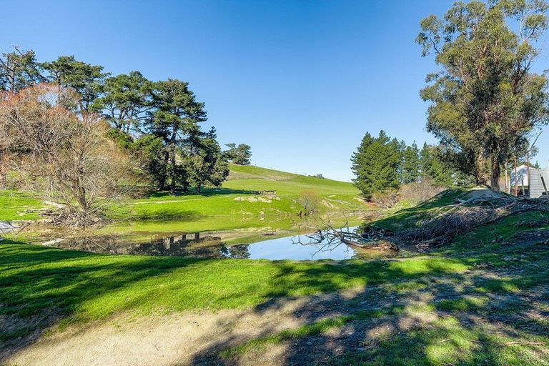 Photo of property in 453 Tetley Brook Road, Seddon, 7285