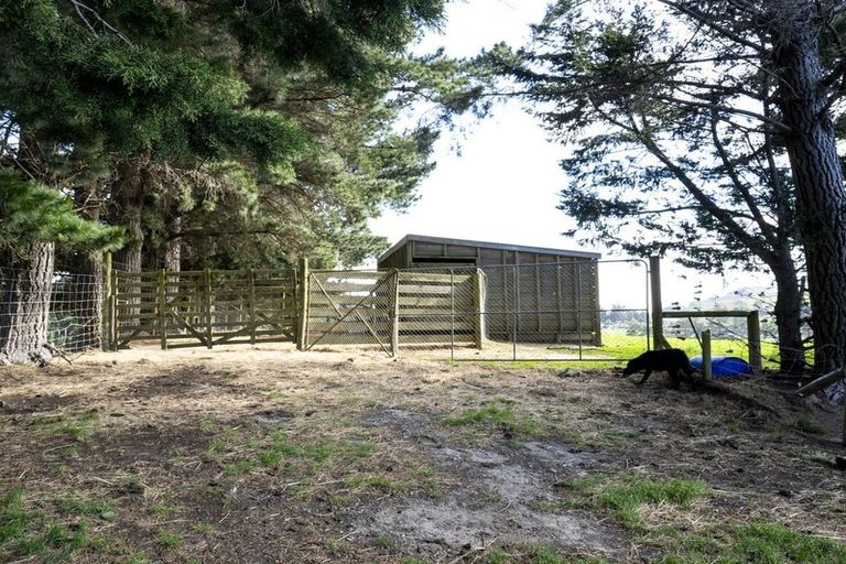 Photo of property in 42 Falcon Street, Palmerston, 9430