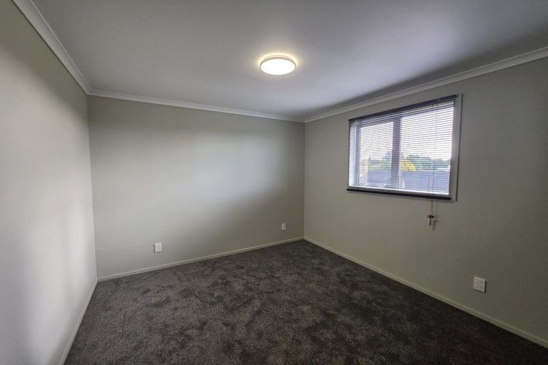 Photo of property in 26 Beatty Street, Levin, 5510