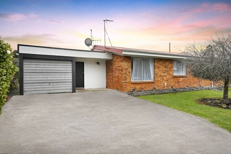 Photo of property in 10 Hibiscus Avenue, Hamilton Lake, Hamilton, 3204