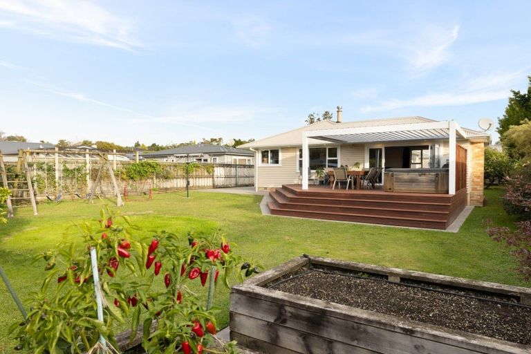 Photo of property in 11 Vine Street, Hillcrest, Hamilton, 3216