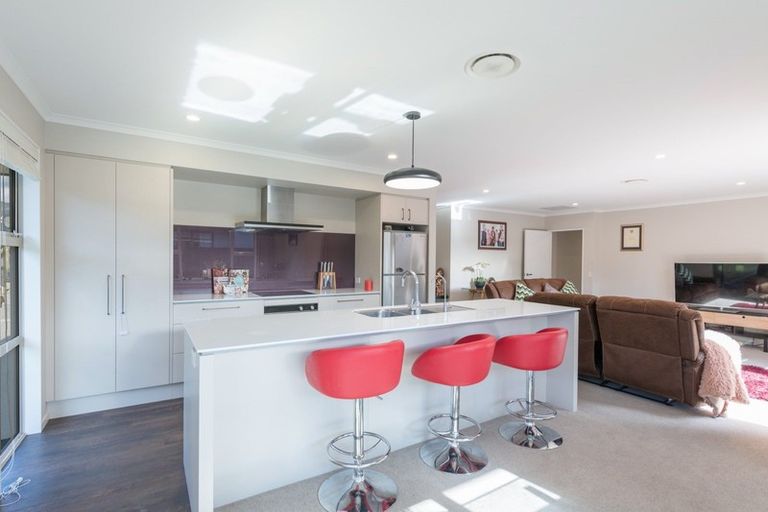 Photo of property in 53 Malone Crescent, Richmond, 7020