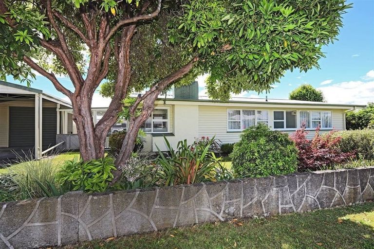 Photo of property in 405a Burnett Street, Mahora, Hastings, 4120