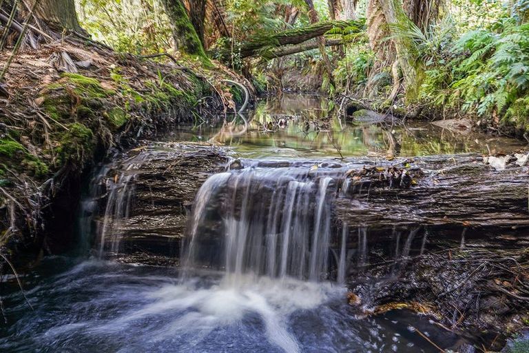 Photo of property in 42c Casey Avenue, Fairfield, Hamilton, 3214