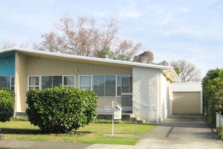 Photo of property in 910b Rata Street, Mahora, Hastings, 4120
