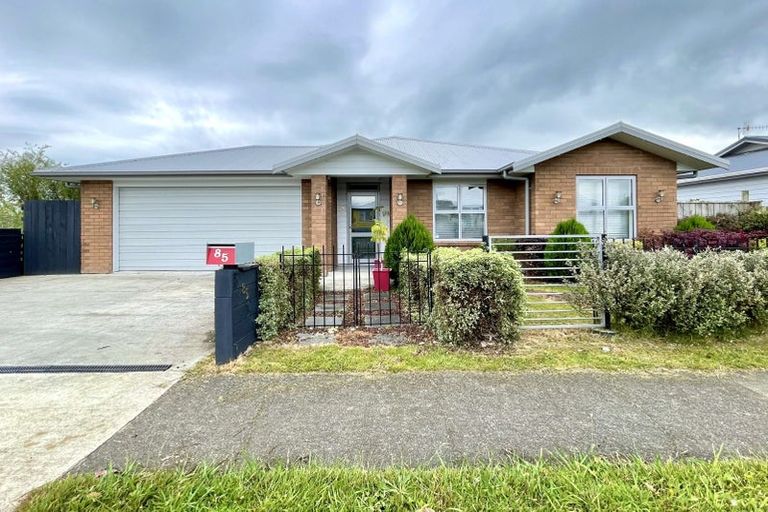 Photo of property in 85 Tiro Tiro Road, Levin, 5510