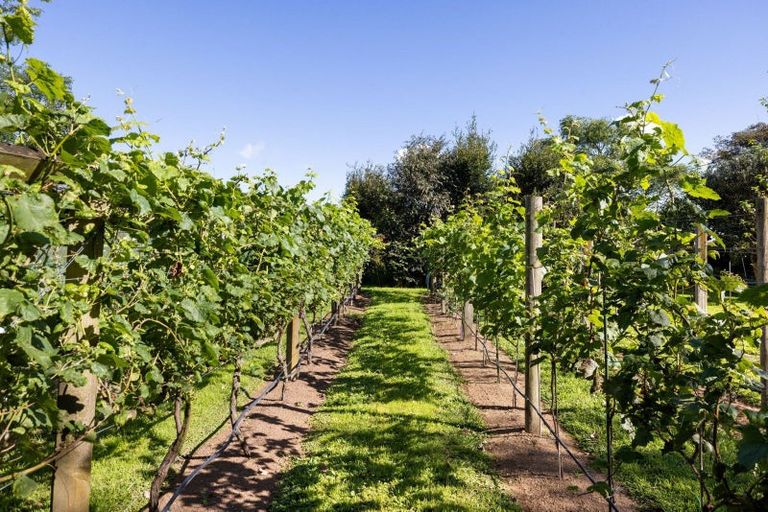Photo of property in 417 Parklands Road, Rotoorangi, Te Awamutu, 3879