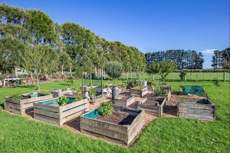 Photo of property in 25 Boulton Road, Levin, 5510