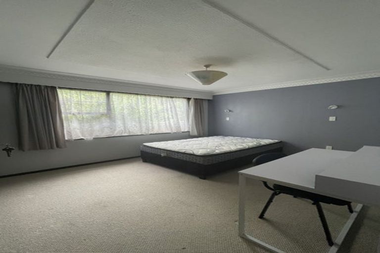Photo of property in 100 London Street, Dunedin Central, Dunedin, 9016