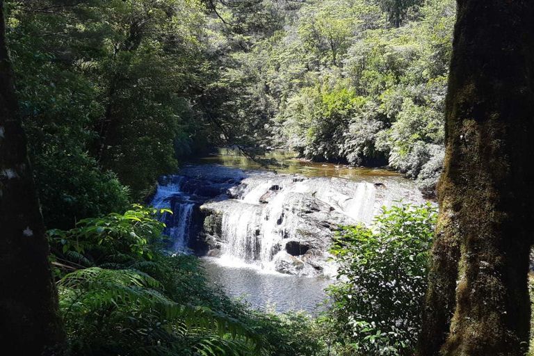 Photo of property in 46 Pitt Street, Runanga, 7803