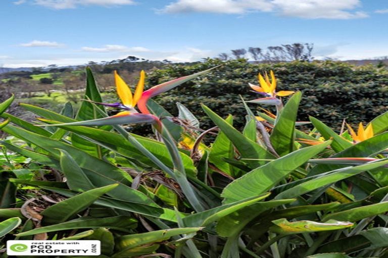 Photo of property in 22 Toetoe Road, Otaika, Whangarei, 0170
