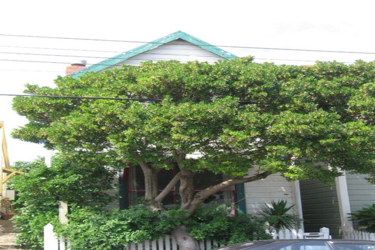 Photo of property in 13 Wright Street, Mount Cook, Wellington, 6021