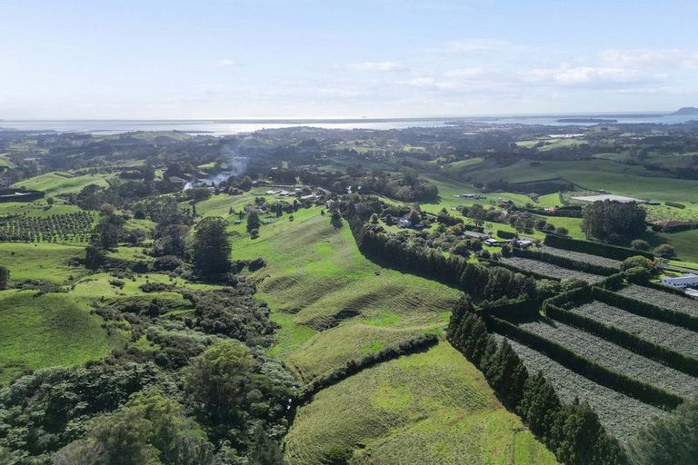 Photo of property in 486 Esdaile Road, Whakamarama, Tauranga, 3180