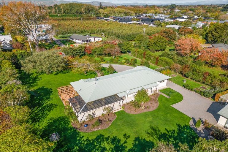 Photo of property in 31 Udy Street, Greytown, 5712