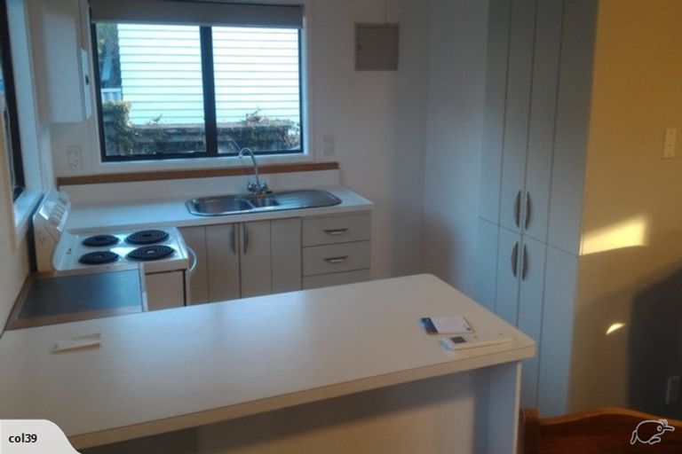 Photo of property in 1/53 Newington Road, Henderson, Auckland, 0612