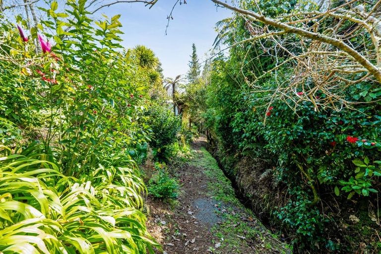 Photo of property in 29 Margaret Street, Stratford, 4332