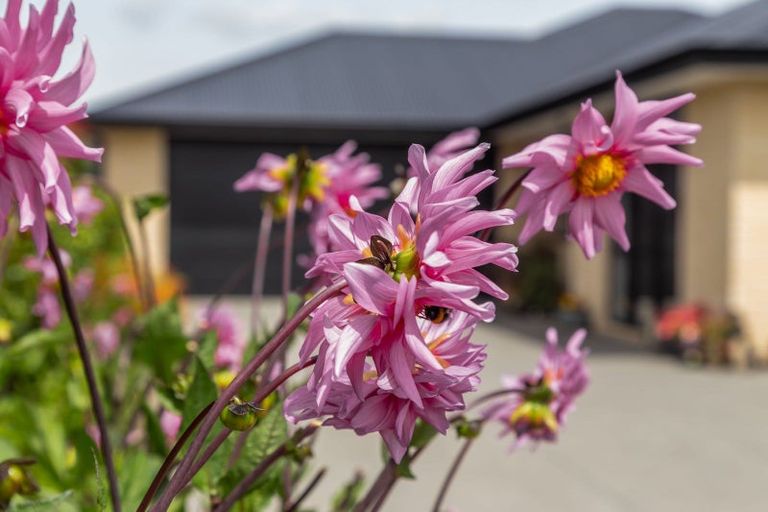 Photo of property in 16 Broomleigh Drive, Rolleston, 7615