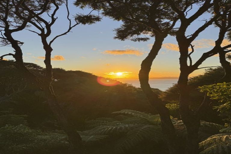 Photo of property in 126 Waihirere Drive, Tuateawa, Coromandel, 3583