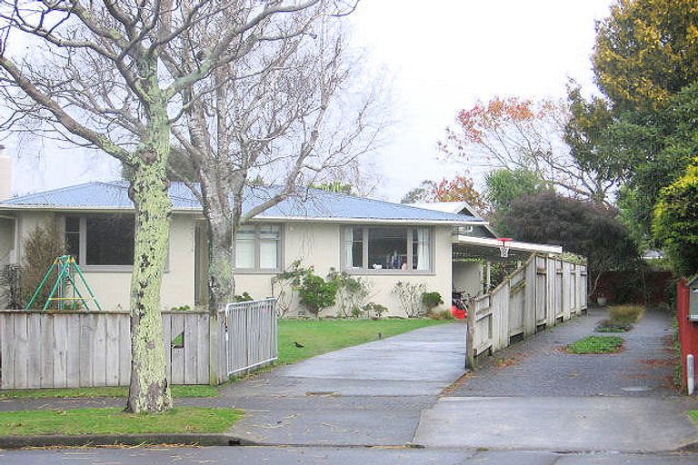 Photo of property in 28 Snowdon Avenue, Terrace End, Palmerston North, 4410
