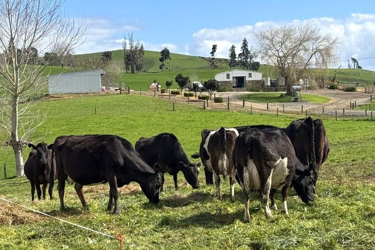 Photo of property in 18 Paewhenua Road, Maihiihi, Otorohanga, 3972