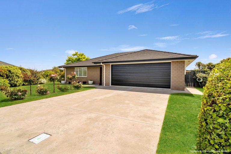 Photo of property in 11 Ngaio Street, Levin, 5510