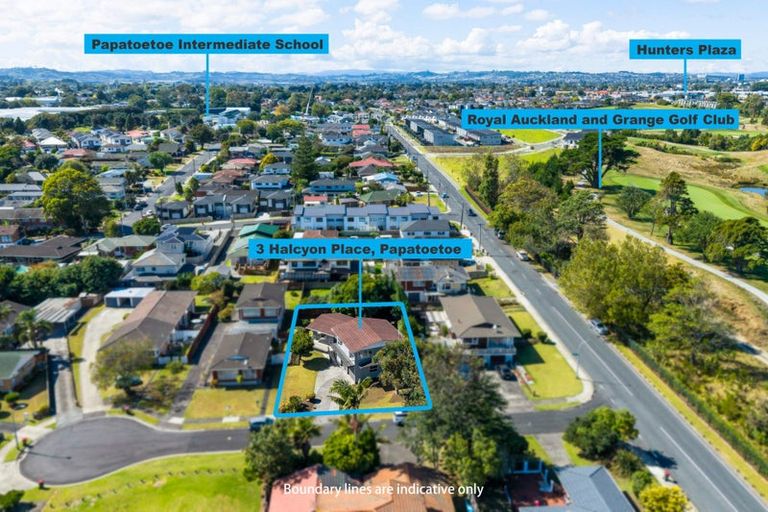 Photo of property in 3 Halcyon Place, Papatoetoe, Auckland, 2025