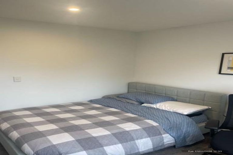 Photo of property in 17 Bings Lane, Richmond, Christchurch, 8013