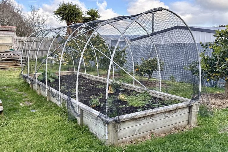 Photo of property in 29 Churchill Crescent, Tawhero, Whanganui, 4501