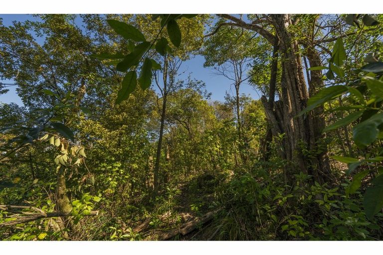 Photo of property in 130 Korokoro Crescent, Thames, 3500