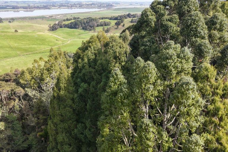 Photo of property in 136 Whakahara Road, Arapohue, Dargaville, 0370