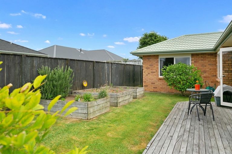 Photo of property in 11 Lucombe Place, Cambridge, 3434