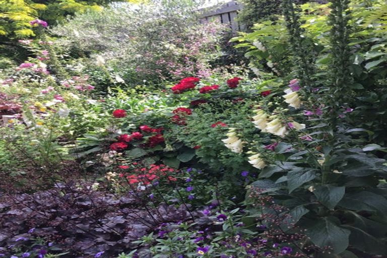 Photo of property in 61 Shields Street, Clyde, 9330