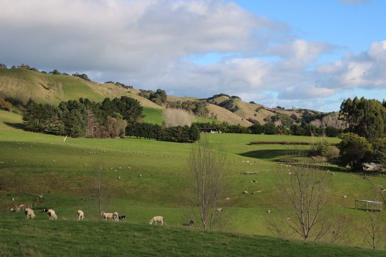 Photo of property in 17 Hill Street, Te Kuiti, 3910