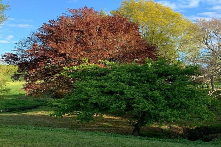 Photo of property in 306 Karapiro Road, Karapiro, Cambridge, 3496