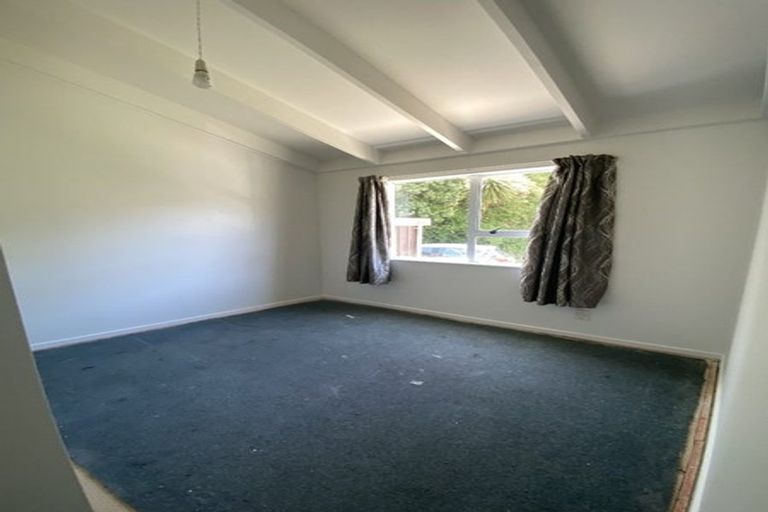 Photo of property in 55f1 Hamilton Road, Hataitai, Wellington, 6021