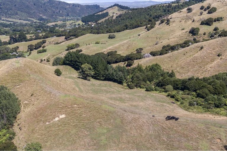 Photo of property in 521a Kauaeranga Valley Road, Thames, 3577