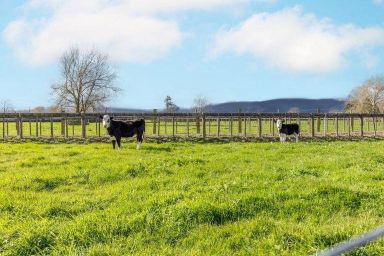 Photo of property in 224b Waharoa Road East, Matamata, 3471