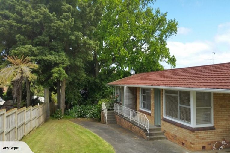 Photo of property in 20 Stanaway Street, Hillcrest, Auckland, 0627