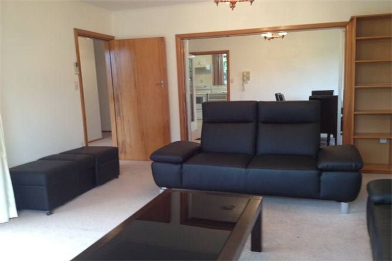 Photo of property in 141 Hamilton Avenue, Ilam, Christchurch, 8041
