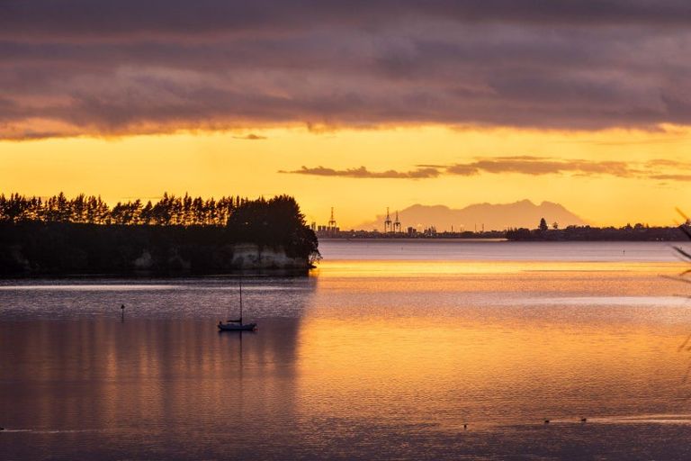 Photo of property in 20 Tinopai Drive, Omokoroa, 3114