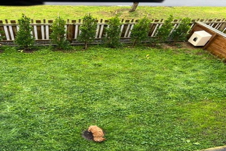 Photo of property in 16 Meritage Lane, Te Atatu South, Auckland, 0610