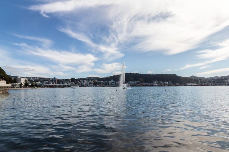 Photo of property in Wharenui Apartments, 274 Oriental Parade, Oriental Bay, Wellington, 6011