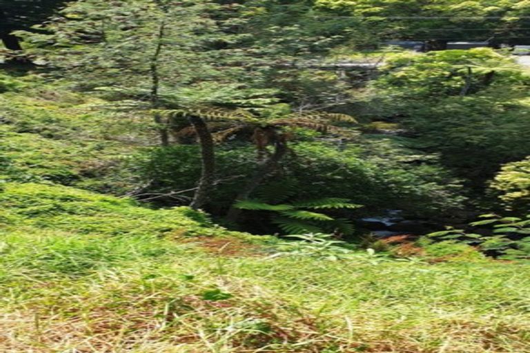 Photo of property in 105 Irishtown Road, Thames, 3500