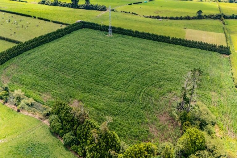 Photo of property in 270r Pembroke Road, Pembroke, Stratford, 4391