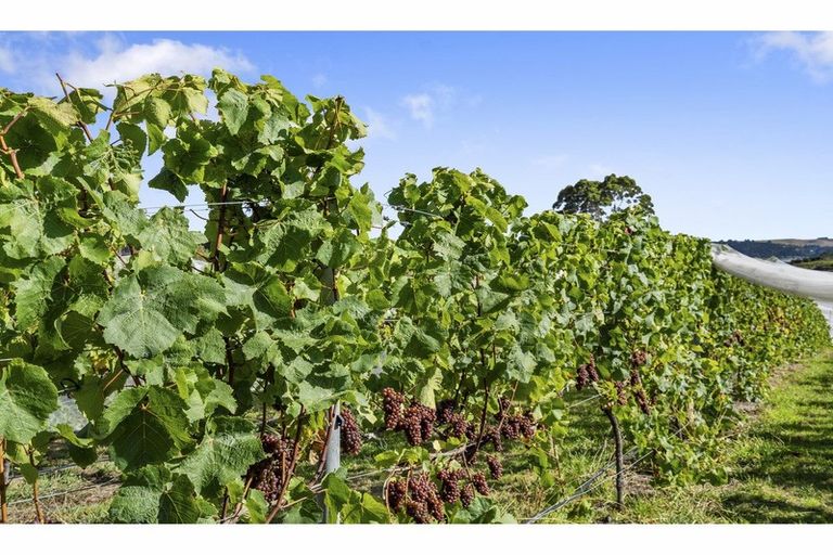 Photo of property in 142 Te Kowhai Point Road, Kerikeri, 0294
